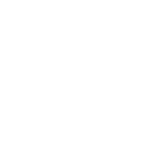 Apikom