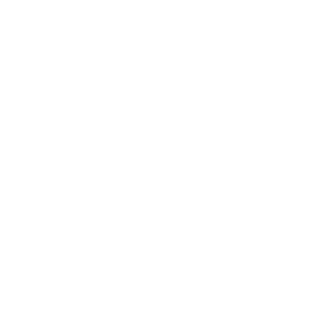 RDV Transports