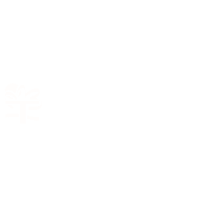 Terenvi